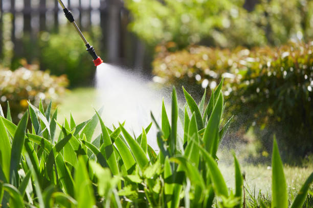 24/7 Emergency Termite Control experts in Cochran, GA