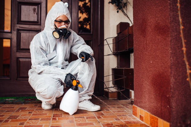 Reliable Termite Control contractor in Cochran, GA by Nex Pest Control